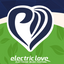 Electric Love Classic Flag